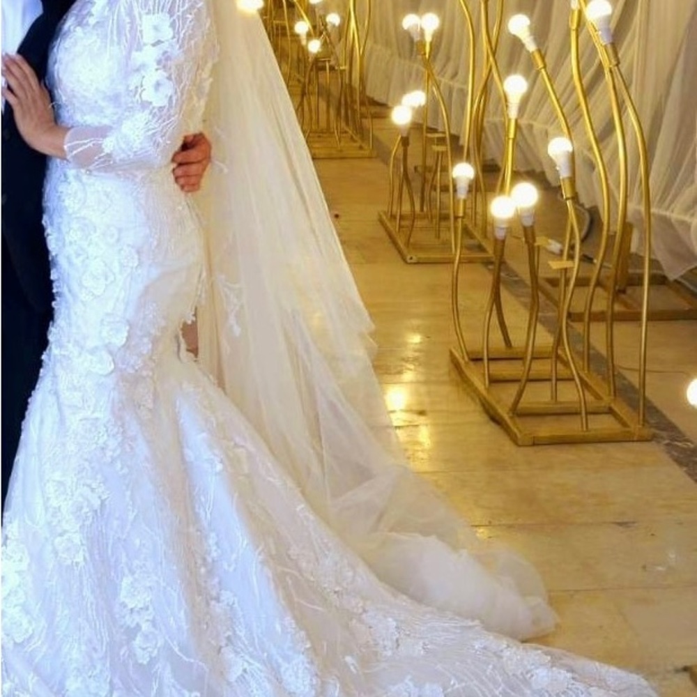 Long sleeve Wedding dress with long veil